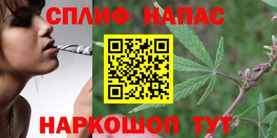 трава Будённовск
