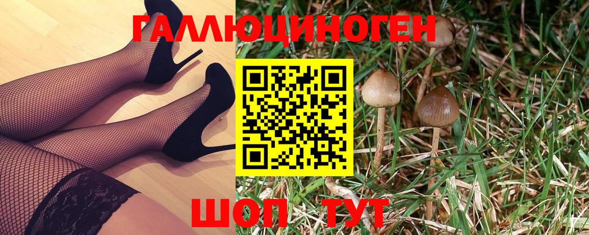 Луховицы  сколько стоит  Вход с VPN  Псилоцибиновые грибы GOLDEN TEACHER  Галлюциногенные грибы мухоморы 